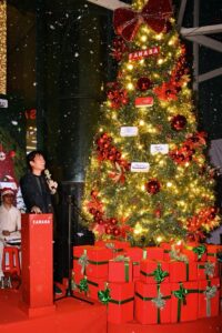 thắp sáng cây thông noel