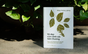 vẻ đẹp của cảnh sắc tầm thường