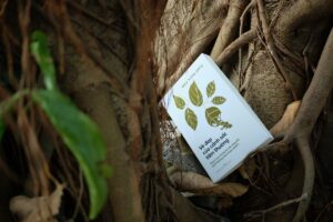 vẻ đẹp của cảnh sắc tầm thường
