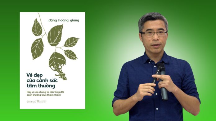 vẻ đẹp của cảnh sắc tầm thường